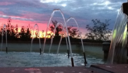 eau polluée, l’état est responsable !