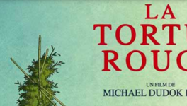 Le masque de la tortue rouge