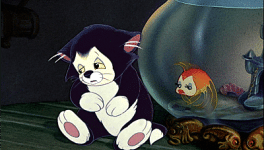 Education aux Médias : Influenceurs, selfies, des émotions pour de vrai ?