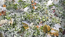 Episode 2 : l'hospitalisation