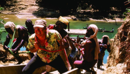 Mosquito Coast (The Mosquito Coast, Peter Weir, 1986)