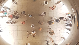 Faites-vous partie de la tribu des écoworkers ?