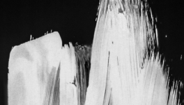 From Seeking to Surrender – A Journey of Self-Integration