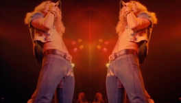 The Movie Remains Cult