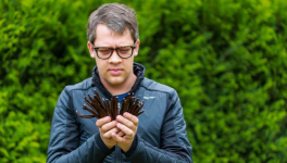 Gousse de Vanille, Orchidée Vanille et Arôme Suprême : Le Guide Ultime pour Choisir la Meilleure Vanille du Monde