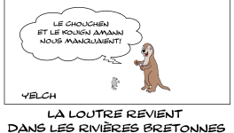 Une bretonne appelée loutre 