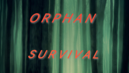 Chapitre 10 - Infraction