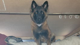 Ton lit? Mon lit? Notre lit 😁