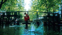 Le fabuleux destin d'Amélie Poulain (2000) Jean-Pierre Jeunet