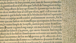L'humanisme à la Renaissance : les lettres en ébullition