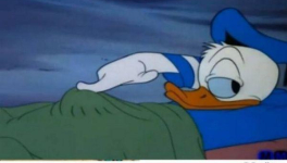 "Le Viagra, un vrai bonheur pour qui rame au lit !"