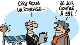 Sondage