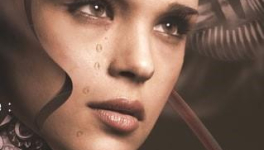 Souchon et les chansons d’amour : le train des saisons d’Arcimboldo