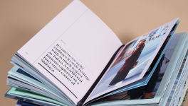 "Les paysages avalent presque tout" de Maxime Actis