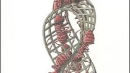 Covid19 : le virus gugusse de la Couronne et la chasse à l'ADN grandeur Nature (de la recherche)