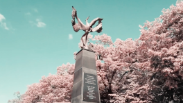 Abstract - Phoenix and Eagle, Stara Zagora, Bulgaria