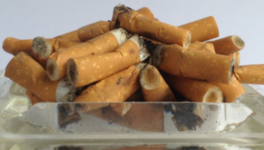 Rien ne change-t-il donc jamais?