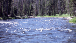 Gestion des eaux usées domestiques : ce qu’il faut savoir