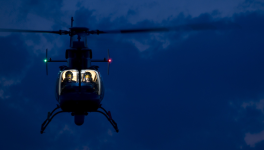 6. Une exfiltration très féline