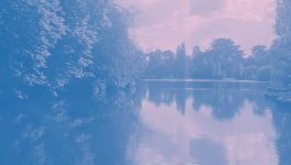 « Nous n'aurons plus jamais froid »