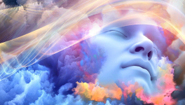 Rêveries autour du rêve...