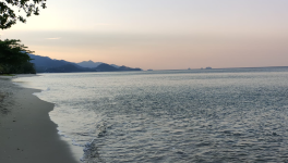 Une bouteille à la mer