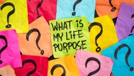 COACHING OFFERT : Trouver un sens à sa vie quand on s'intéresse à tout...