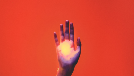 Sachons raison garder