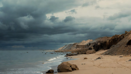 Que faire pour avancer?