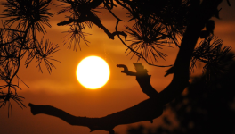 Que  des  lettres  ensoleillées