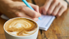 Chapitre 5 : Les Premières Impressions