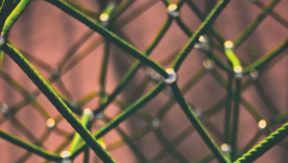 En route vers une blockchain plus responsable ?