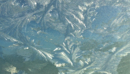 Votre calendrier de l'Avent - 2 Décembre 