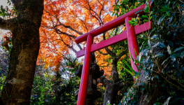 Les "états désirés"