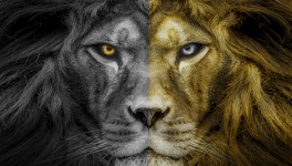 19. La Légende de Nil - Jean-Marc Ferry - Livre I, Les Diamants de Sarel-Jad - Chapitre VIII, 1