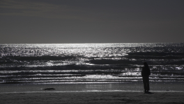 L'humiliation de trop