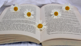 La PAL du mois d'avril 2021