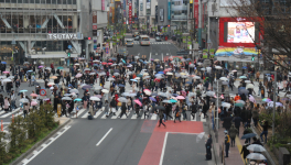 Jour 4, après-midi (Shibuya, Aïkikai)