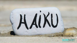 ça y est, ça commence ?