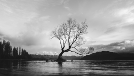 Le marchand aux couleurs magiques : chapitre 1