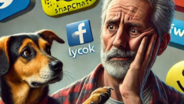 Réseaux sociaux (chanson)