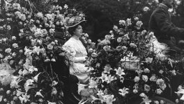 17 Una pregunta espinosa