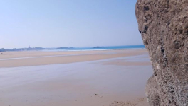 Fruits de Mères et Graines d'Espoir