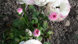 Episode 1 : départ de la maison