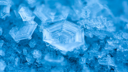 Nos racines enneigées