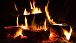 Poubelles de Paris : une solution, une aux bennes !