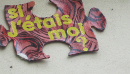 le fauteuil rouge scène 18 à 20