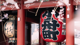 La PAL du mois de Mai 2023