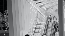 Le manager face aux escalades symétriques