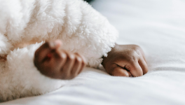 Le sommeil de la vie